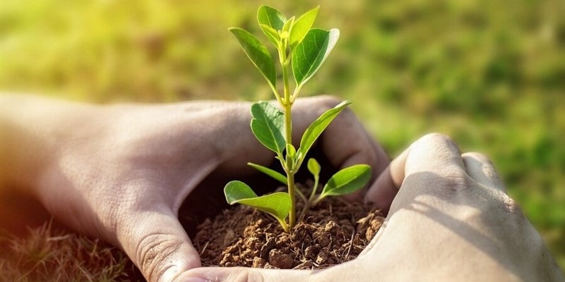 Giovani agricoltori. Al via il bando giovanisì per contributi a fondo perduto