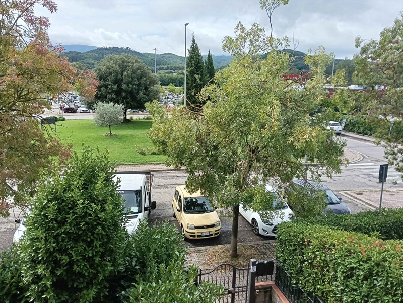 Alcune immagini a corredo della lettera