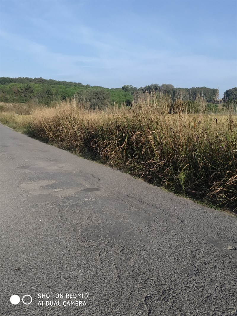 le condizioni della strada di Piazzano.