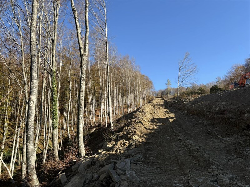 Devastazione ambientale per l’impianto eolico