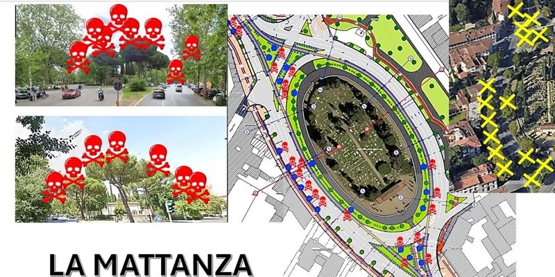 Partita la mattanza degli alberi in piazza Donatello