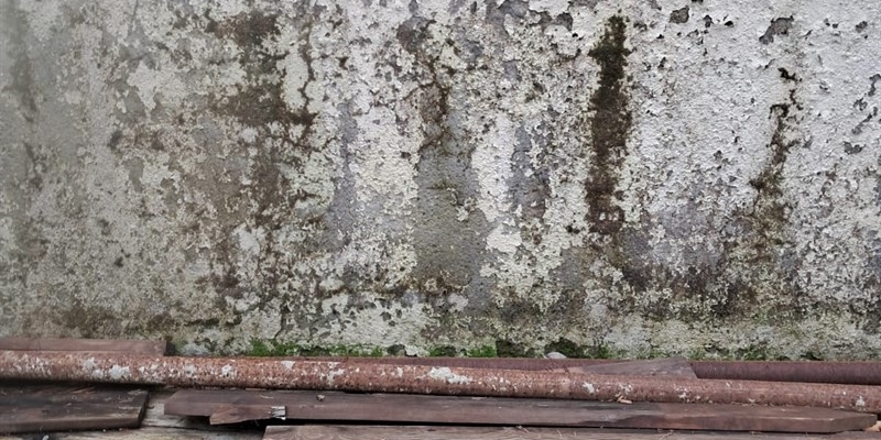 Pontassieve. Critiche sullo stato del cimitero comunale di Via Guido Reni