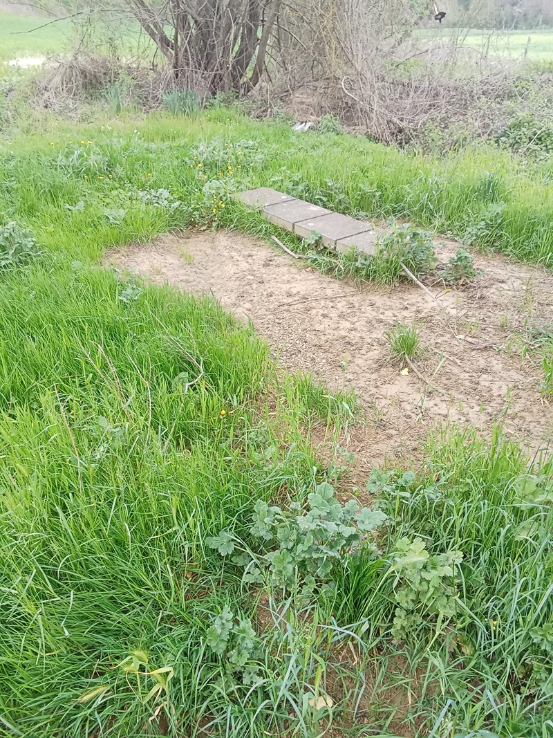 Alcune immagini allegate