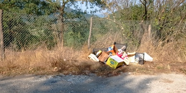 Foto segnalazione incuria di un lettore per la SP551 Dicomano - Vicchio: una discarica a cielo aperto