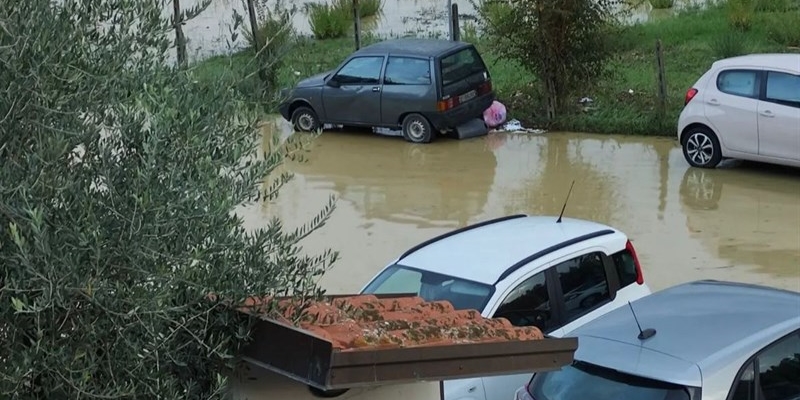 I danni nelle aziende agricole