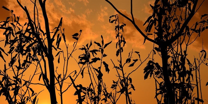 Uno degli scatti paesaggistici di Enzo Granfurri che verranno esposti nella mostra “Il Cielo tra gli alberi” a Pontassieve