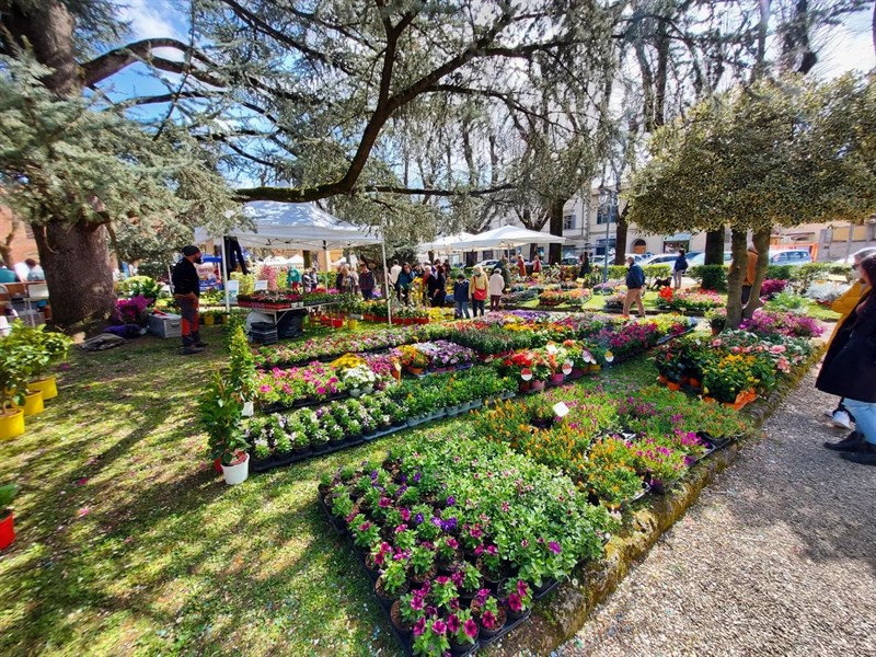 Fiorinfiera