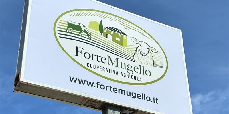 Fortemugello (ex Forteto), asta telematica il 3 ottobre per Serra e Bottega