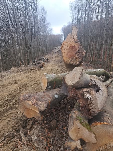 Il crinale devastato