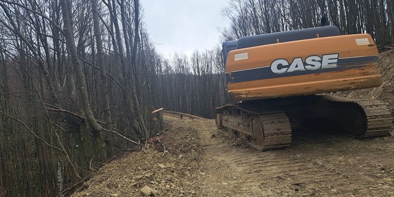 Il crinale devastato