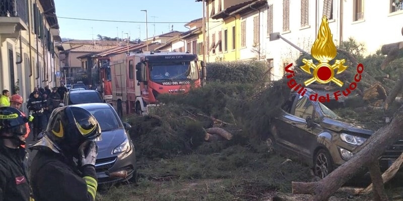 Scandicci, crollo di un pino su auto e tetti. L'intervento dei vigili del fuoco - FOTO