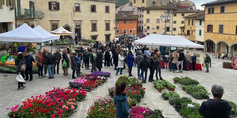Biofioricola 2025 a Pelago. Nuova veste per la festa del florovivaismo e delle eccellenze Toscane