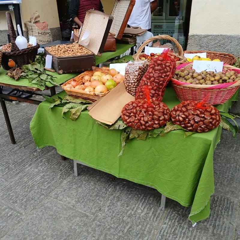 Dal Bosco alla Pietra