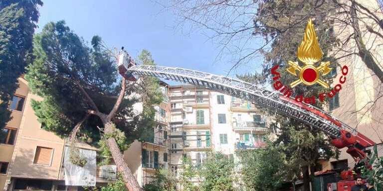 Maltempo, rimosso albero pericolante in via di Villamagna