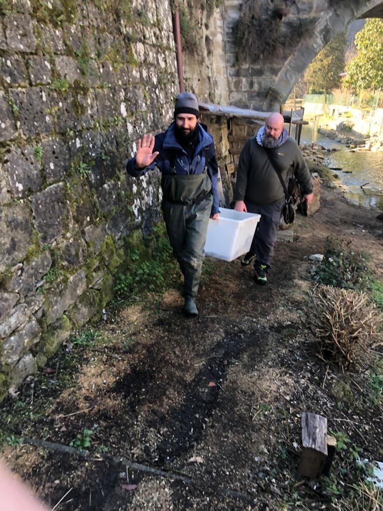 Prelevamento pesci dal Lago di Londa e dai torrenti Moscia e Rincine