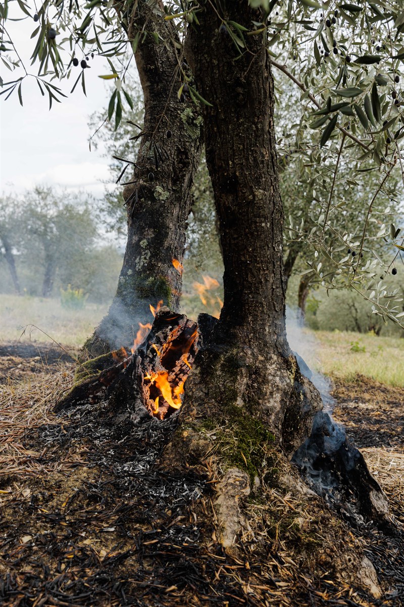 Operazioni di spegnimento dell'incendio a Galiga, nel Comune di Pontassieve