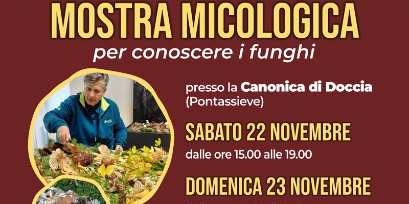 Weekend micologico a Doccia per scoprire e riconoscere le specie fungine