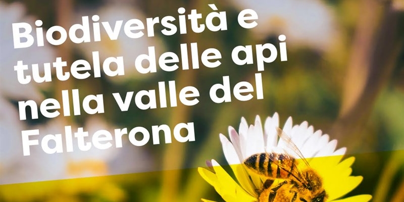 Biodiversità e tutela delle api nella valle del Falterona. Un talk con Paolo Fontana e Luca Vitali