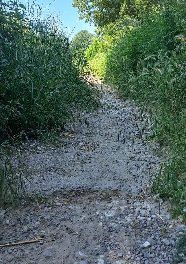 Ciclabile sagginale ponte a vicchio