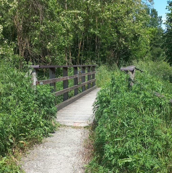 Ciclabile sagginale ponte a vicchio