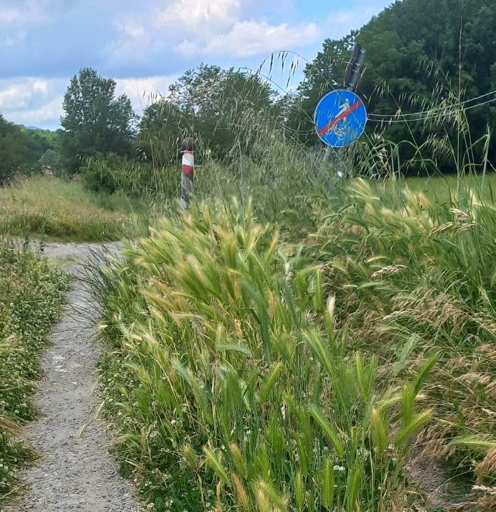 Ciclabile sagginale ponte a vicchio