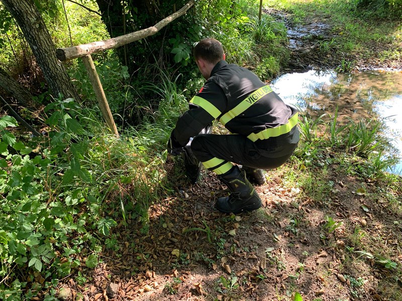 Il lavoro dei Vigili del Fuoco - Il serpente viene liberato