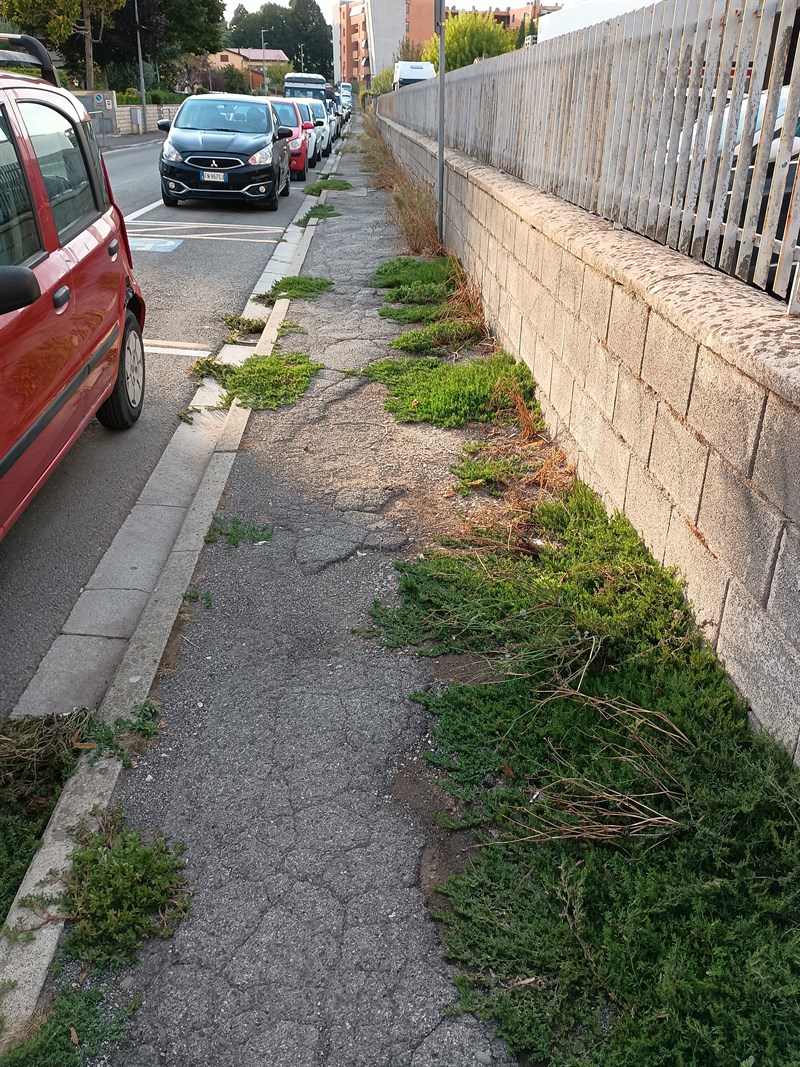 Marciapiedi di Via Basaglia incurati a Borgo San Lorenzo