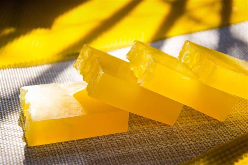 Come usare il sapone Alga per la cura delle piante