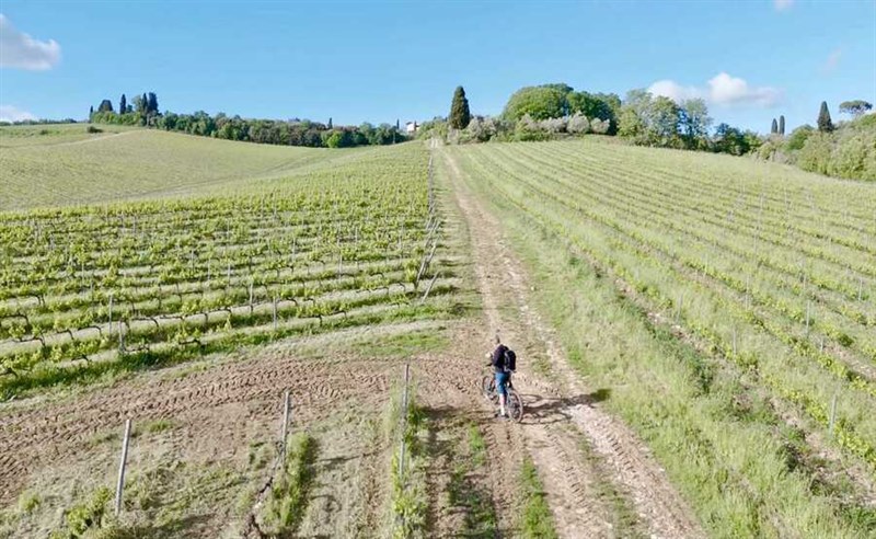 Pedalare in Chianti