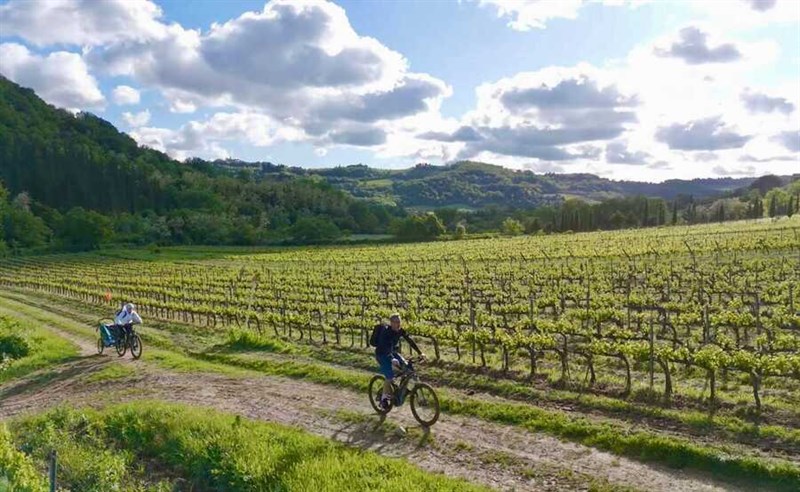 Pedalare in Chianti
