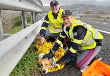 La campagna della Polizia