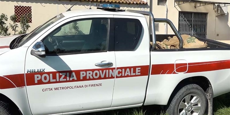 Polizia provinciale