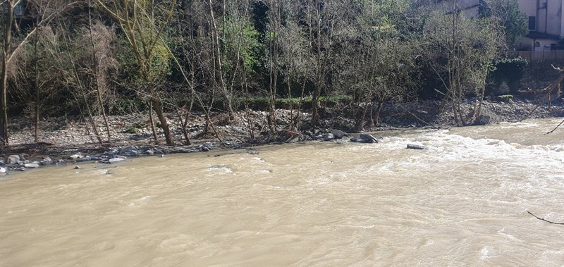 Alcune foto a corredo della lettera - Lamone