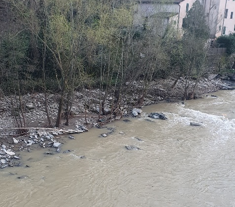 Alcune foto a corredo della lettera - Lamone