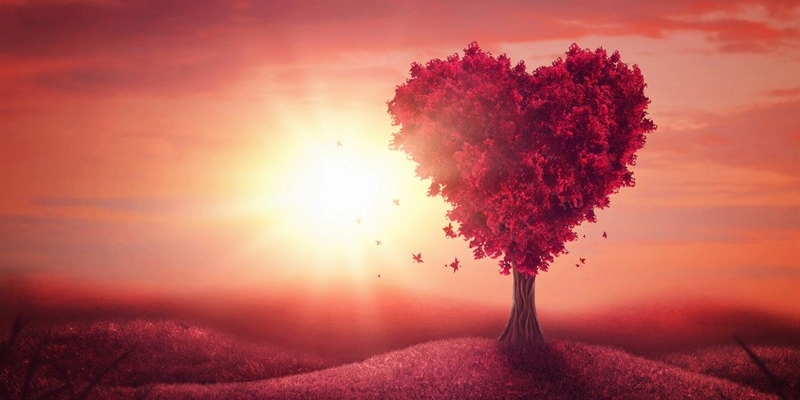 L'Amore legato dal sacro: L'unica verità sui legamenti d'amore