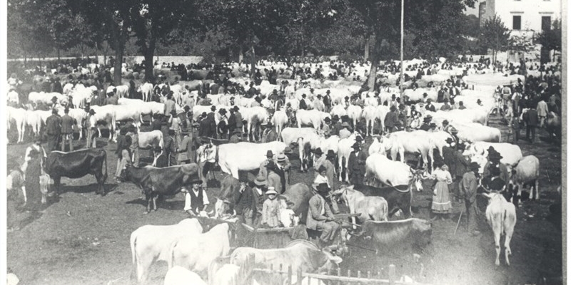 L'antica Fiera Calda di Vicchio 