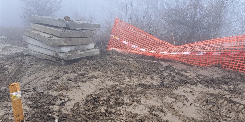 Alcune immagini raccolte dalla coalizione Tesss