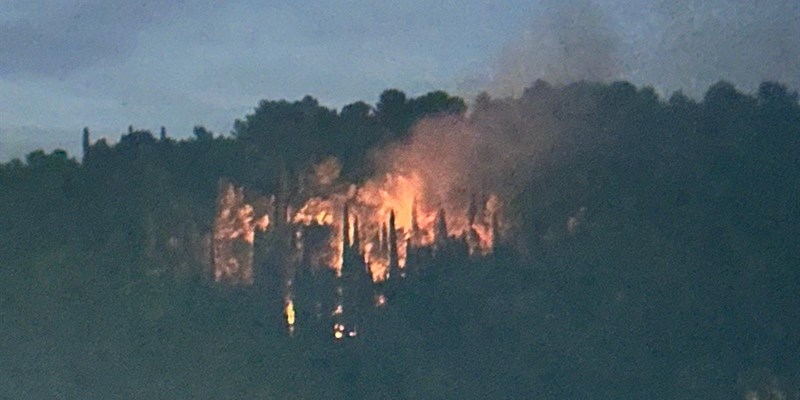 Incendio a Vincigliata, fiamme in un bosco nel comune di Fiesole: difficili le operazioni di spegnimento