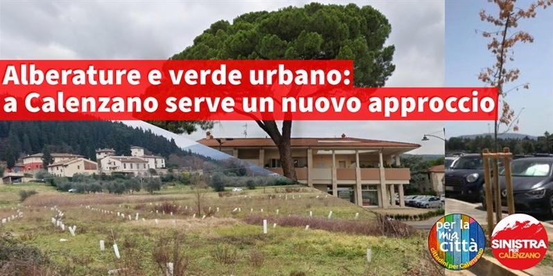 Piano del verde da ridiscutere?