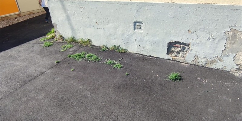 La situazione allo stadio Romanelli