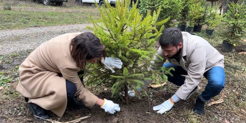 La Foresta di Rincine torna a respirare: Londa e l'Unione di Comuni Valdarno Valdisieve avviano la rigenerazione di 15mila mq di bosco grazie ad un importante progetto