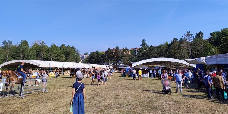 Allestimento della Fiera Calda