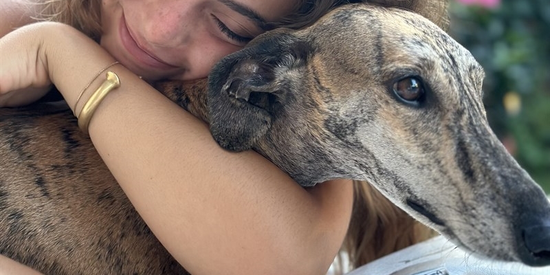 “Un levriero per la vita”. Padel solidale a favore degli amici a quattro zampe - FOTO