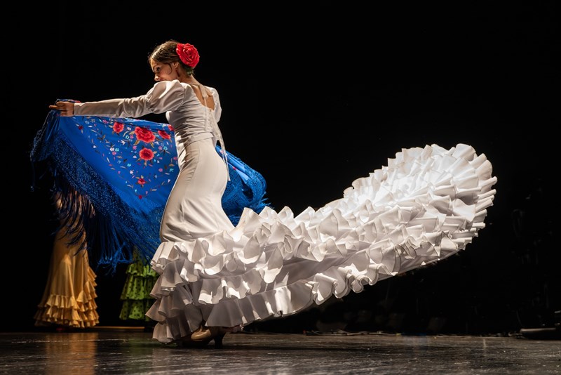 L'esibizione "Flamenco"