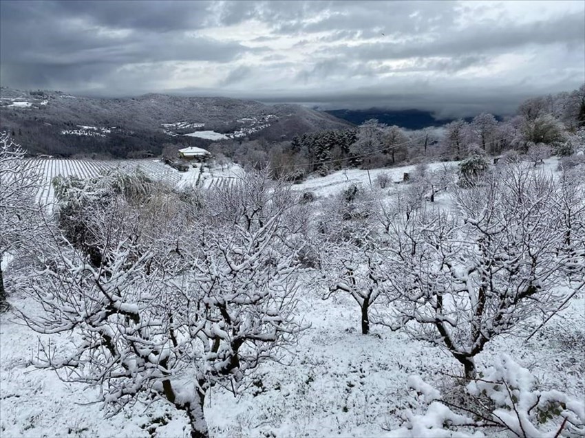 Neve sul Comune di Rufina