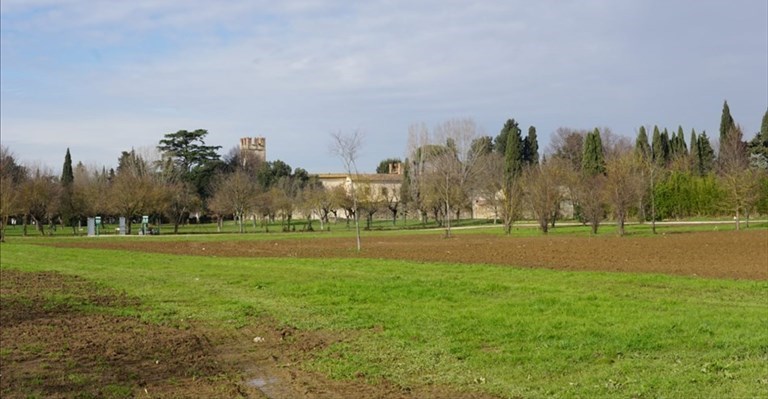 scorcio del nuovo parco