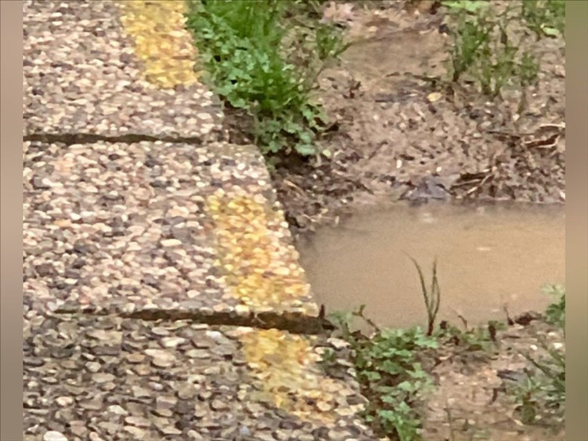 Pavimentazione esterna usurata della Scuola materna Mario Lodi : le foto di segnalazioni dei genitori