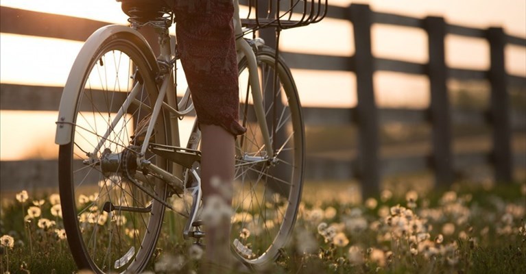 nuova ciclopista