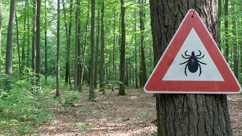 Attenti alle zecche. Arrivano anche i cartelli