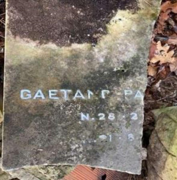 la macabra scoperta nel bosco accanto al cimitero di Trespiano